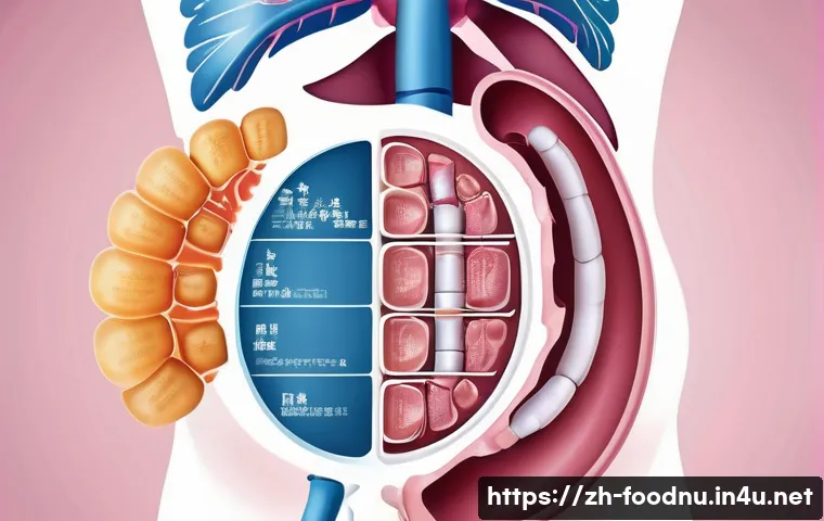 유당불내증과 대체식품 - A detailed, realistic illustration of a healthy digestive system focusing on the small intestine whe...